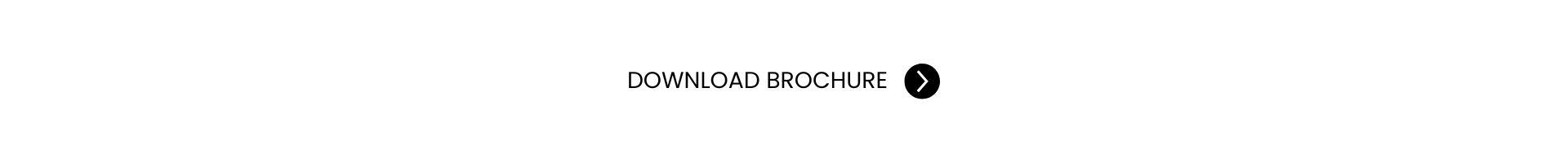 Website.jpg